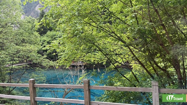 成都自由行(圖片來源：U Travel 編輯部)