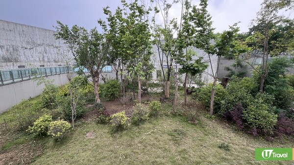 成都自由行(圖片來源：U Travel 編輯部)