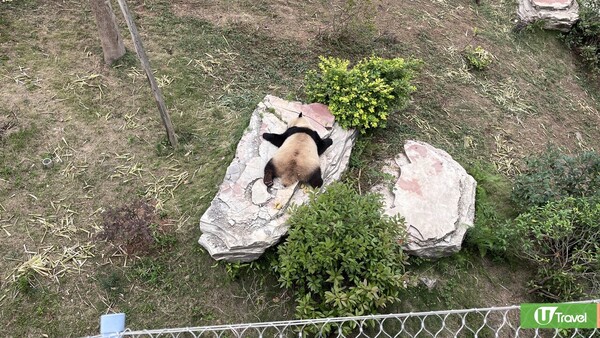 成都自由行(圖片來源：U Travel 編輯部)