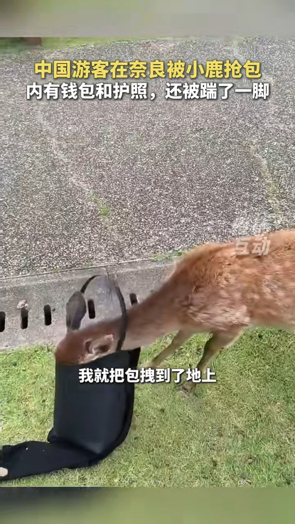 日本地鐵內地客霸優先座開餐 霸氣日本妹5句罵走!下場大快人心