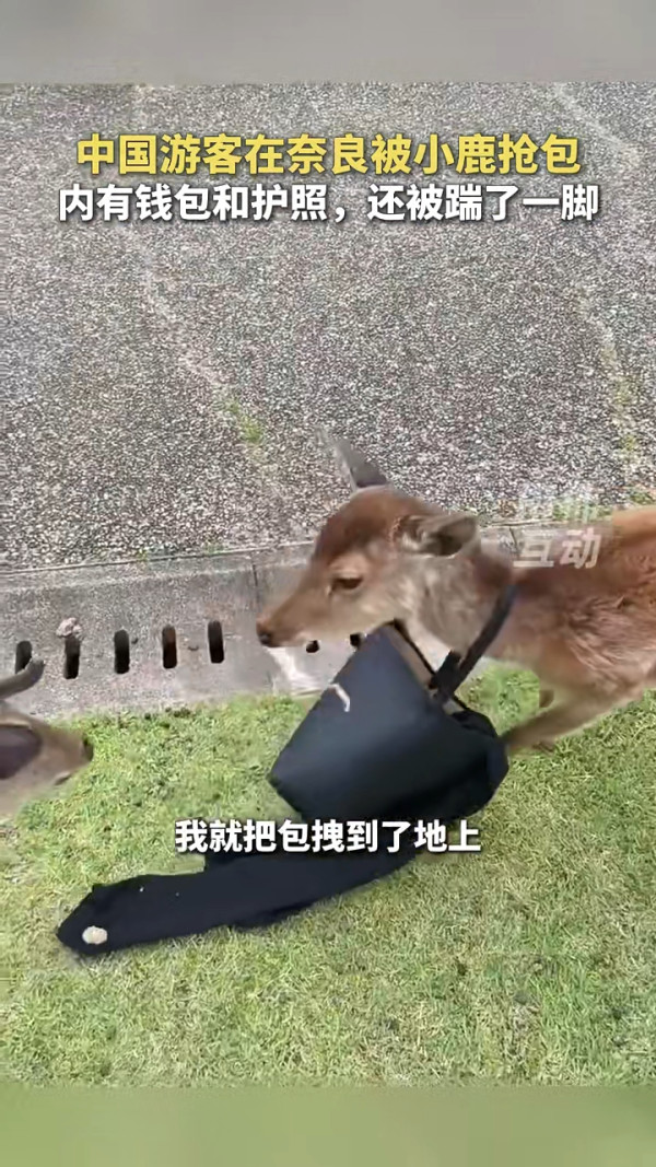 日本地鐵內地客霸優先座開餐 霸氣日本妹5句罵走!下場大快人心