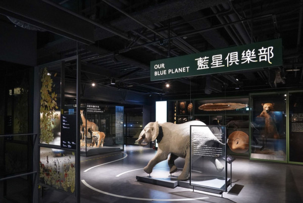 台灣親子遊|親子旅遊自由行逾10大景點推介 打卡大珍奶/兒童新樂園/森林親子樂園