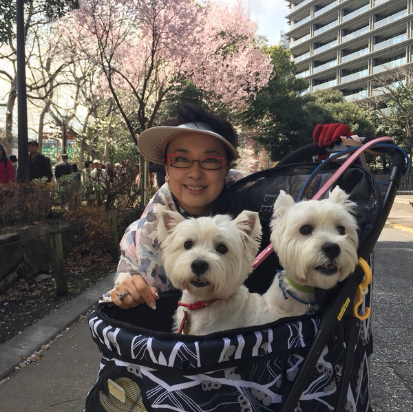 長居日本歌手稱已為地震預言做準備 水夠飲25年/食物庫存足夠15年？ 