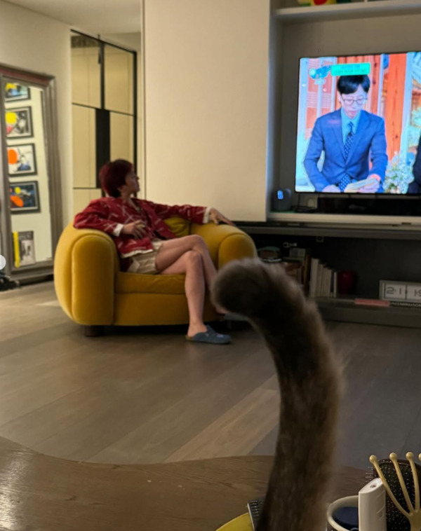 G-Dragon權志龍豪宅