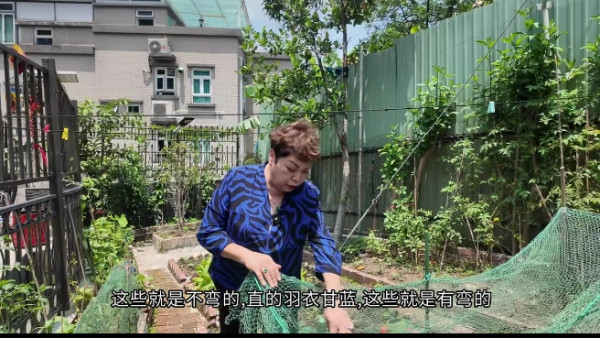 肥媽大埔2000萬豪宅超巨型後花園曝光！自家農田誇張到嚇窒網民︰以為係大陸