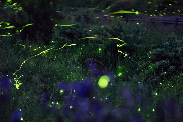 Rakuten Travel限時酒店住宿優惠高達六折！最多減4萬日圓！東京/大阪/沖繩等地區適用 