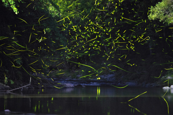 Rakuten Travel限時酒店住宿優惠高達六折！最多減4萬日圓！東京/大阪/沖繩等地區適用 