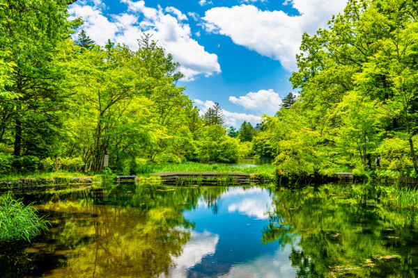 Rakuten Travel限時酒店住宿優惠高達六折！最多減4萬日圓！東京/大阪/沖繩等地區適用 