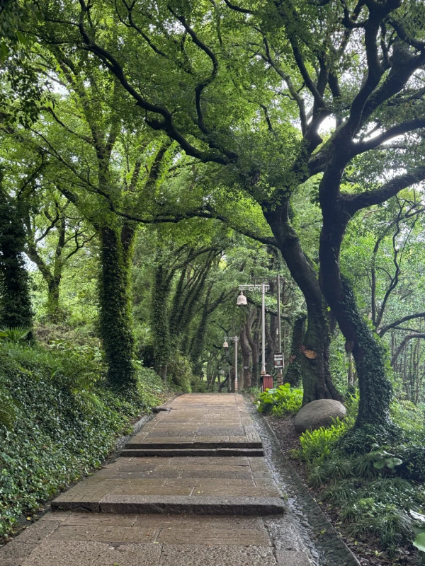百億新抱吳千語印尼旅行泳裝上陣！曬超強馬甲線打破懷孕傳聞 
