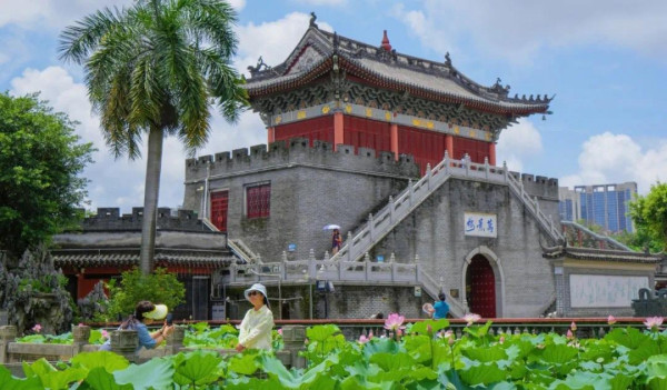 深圳賞荷花好去處 萬景樓（圖片來源：濱海寶安微信公眾號）