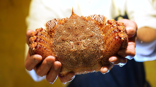 人生美食地圖-東京篇｜陳山聰阮浩棕陳方藤日本旅遊節目每集景點 推介東京必食拉麵/迴轉壽司店/隱世食店 