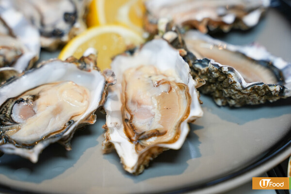 沙田帝逸酒店九巴懷舊主題自助餐   任食生蠔／蒸海鮮／九巴造型甜品