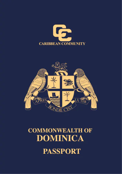 為何全球護照只有「紅藍綠黑」4種顏色？揭護照顏色背後意思 