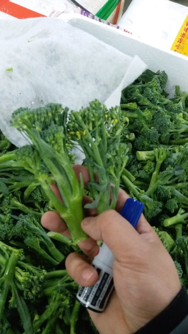 睡不好肝變差 醫生教食西蘭花芽苗 1個月降三甘油脂/膽固醇/血糖！