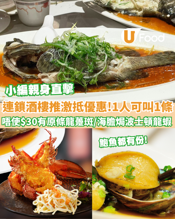連鎖酒樓唔使$30有原條龍躉斑 一人可叫一條／不限落單次數／指定時間有優惠!