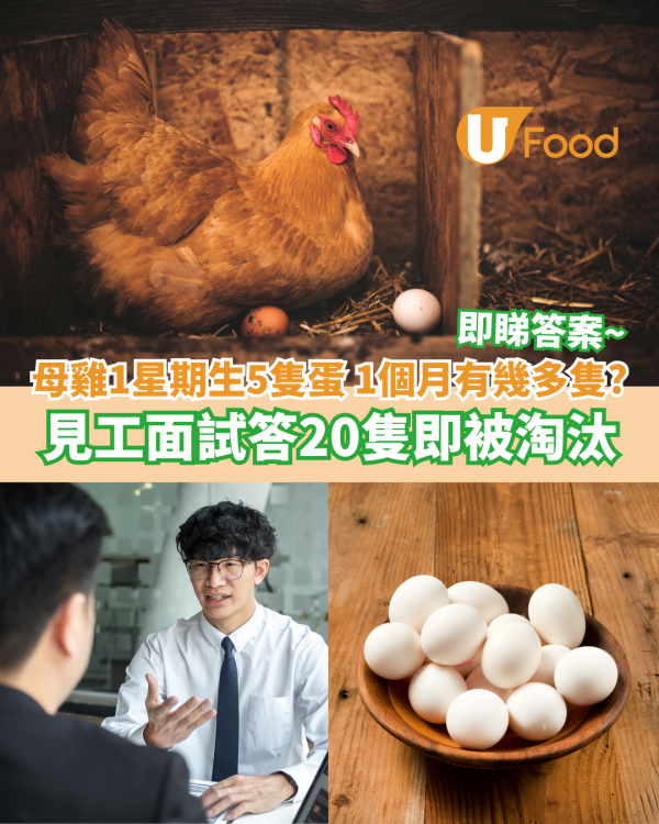 母雞1星期生5隻蛋 1個月有幾多隻？ 見工面試答20隻即被淘汰