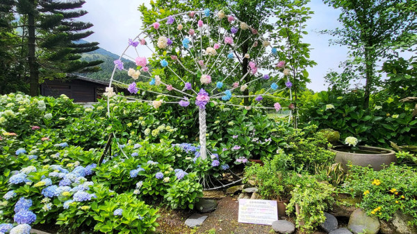 花露農場（圖片來源：Facebook@花露農場 FlowerHome）