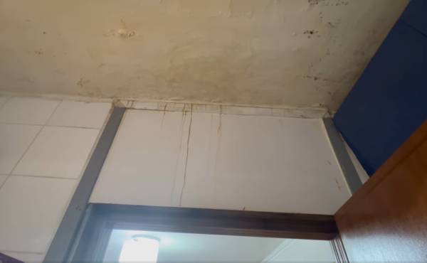 圖片來源：公屋討論區