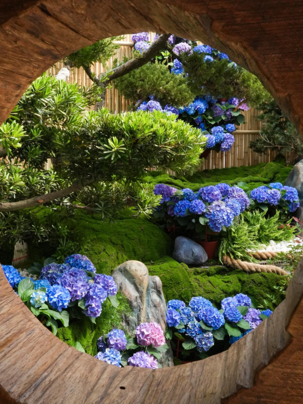 花露農場（圖片來源：Facebook@花露農場 FlowerHome）