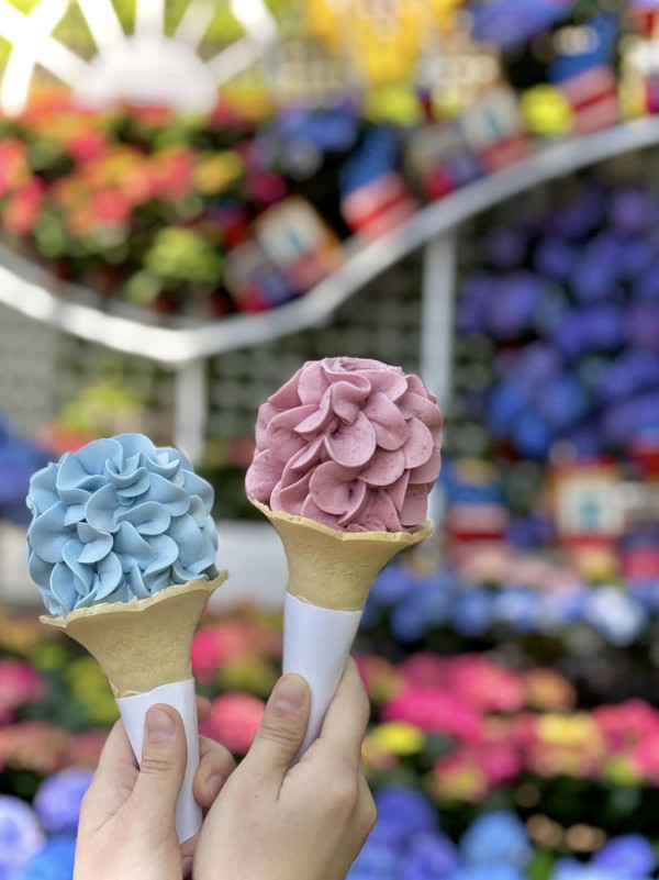 花露農場（圖片來源：Facebook@花露農場 FlowerHome）