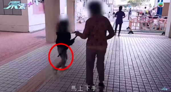  彩虹邨現「敲腳婆婆」無差別攻擊小朋友，節目截圖，圖片來源︰東張西望。
