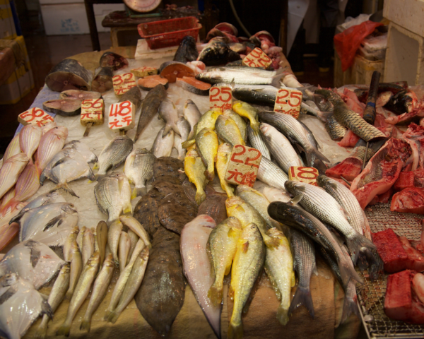 油麻地1海鮮檔驗出霍亂弧菌 食環署下令即時封舖徹底消毒