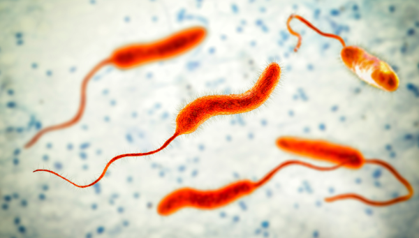 油麻地1海鮮檔驗出霍亂弧菌 食環署下令即時封舖徹底消毒