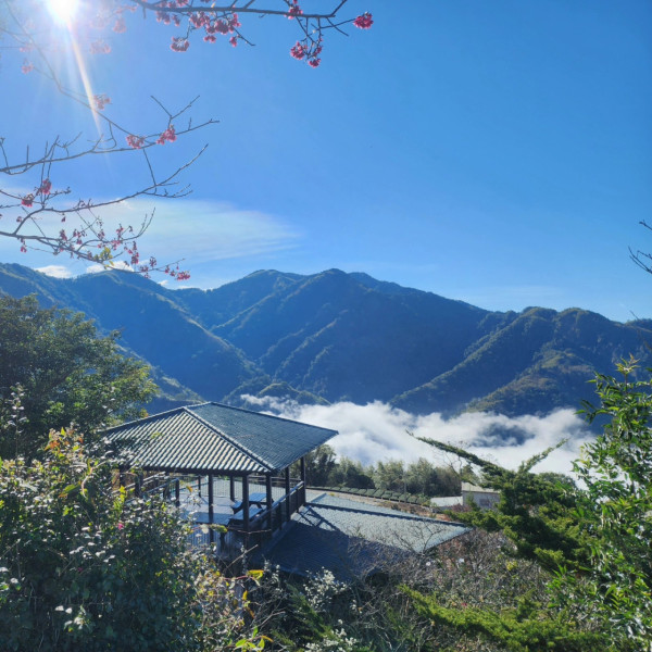 許家茶園（圖片來源：Facebook@許家茶園民宿露營區）