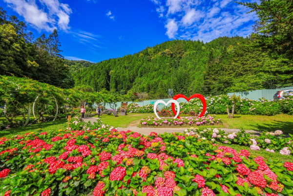 杉林溪森林生態渡假園區（圖片來源：Facebook@愛上杉林溪）