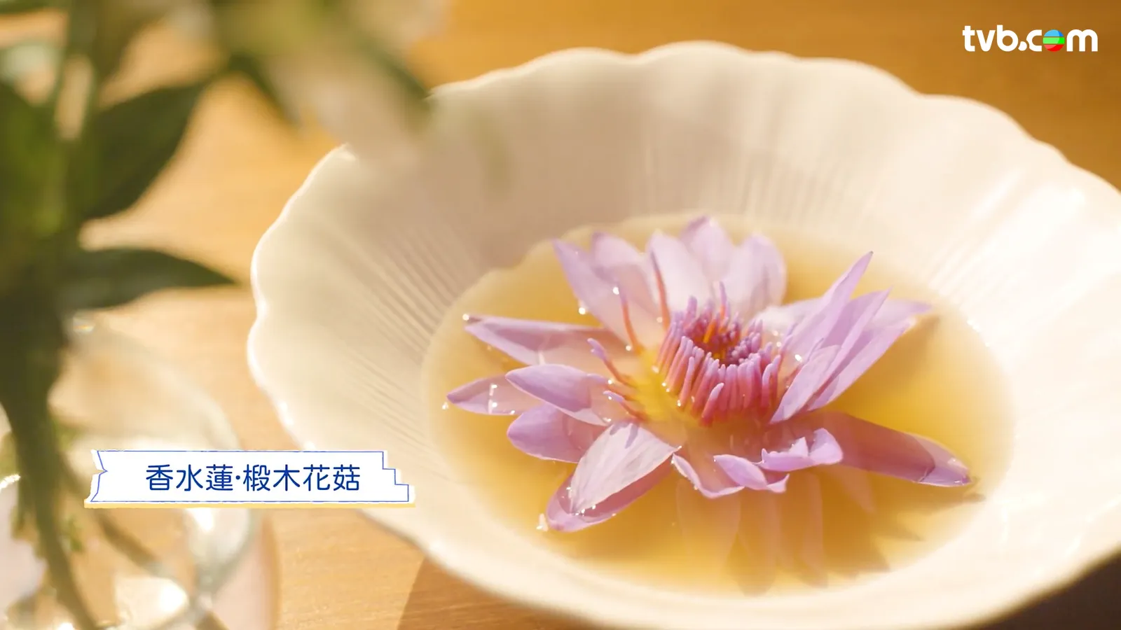 農夫《旅行最緊要近》每集行程懶人包 高鐵沿線拓展「一小時生活圈」 覓日泰平替