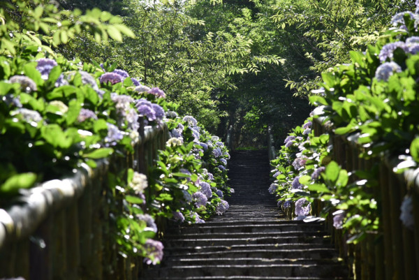 太麻里青山農場（圖片來源：Facebook@青山農場）