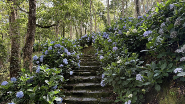 太麻里青山農場（圖片來源：Facebook@青山農場）