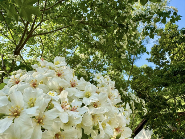 沐心泉休閒農場（圖片來源：Facebook@沐心泉休閒農場）