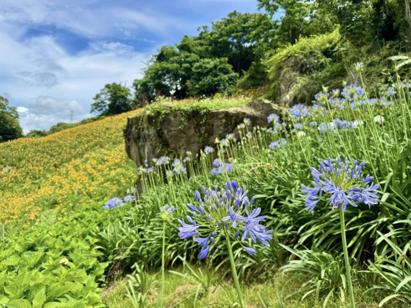 沐心泉休閒農場（圖片來源：Facebook@沐心泉休閒農場）