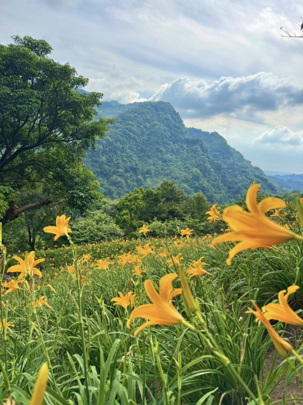 沐心泉休閒農場（圖片來源：Facebook@沐心泉休閒農場）