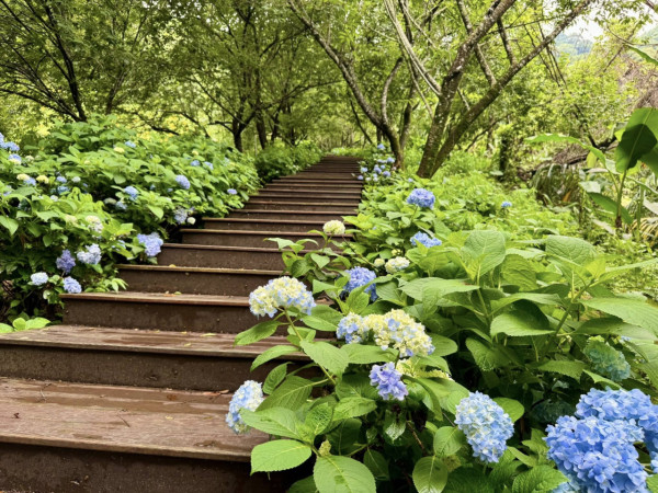 沐心泉休閒農場（圖片來源：Facebook@沐心泉休閒農場）