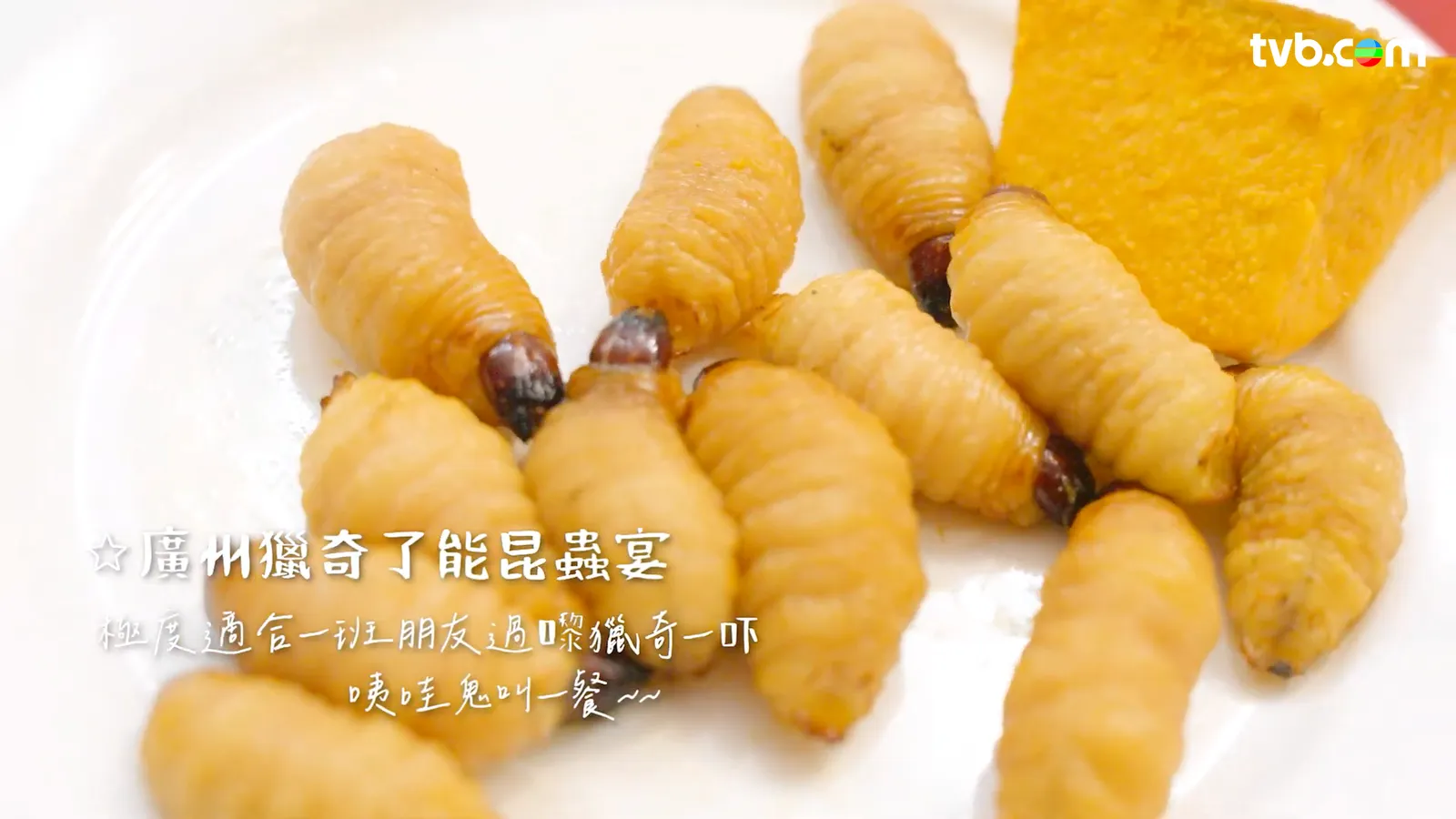 農夫《旅行最緊要近》每集行程懶人包 高鐵沿線拓展「一小時生活圈」 覓日泰平替