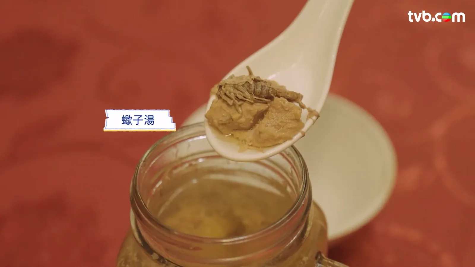 農夫《旅行最緊要近》每集行程懶人包 高鐵沿線拓展「一小時生活圈」 覓日泰平替