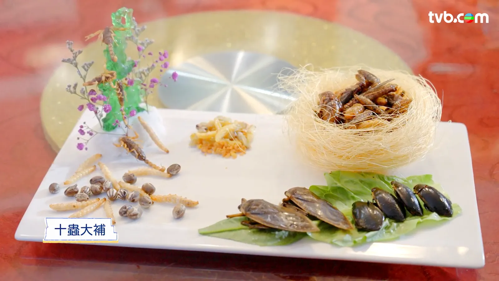 農夫《旅行最緊要近》每集行程懶人包 高鐵沿線拓展「一小時生活圈」 覓日泰平替