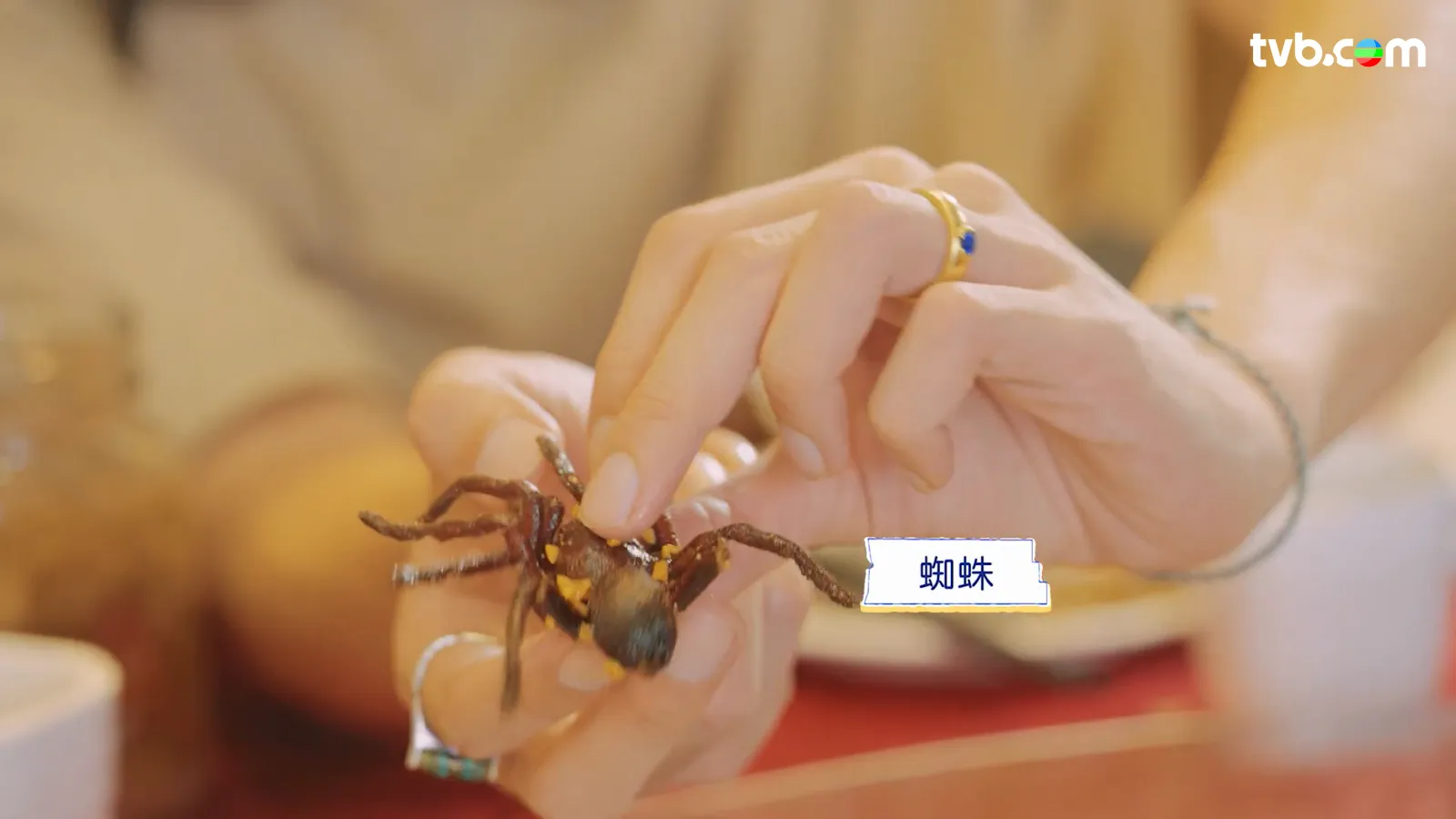 農夫《旅行最緊要近》每集行程懶人包 高鐵沿線拓展「一小時生活圈」 覓日泰平替