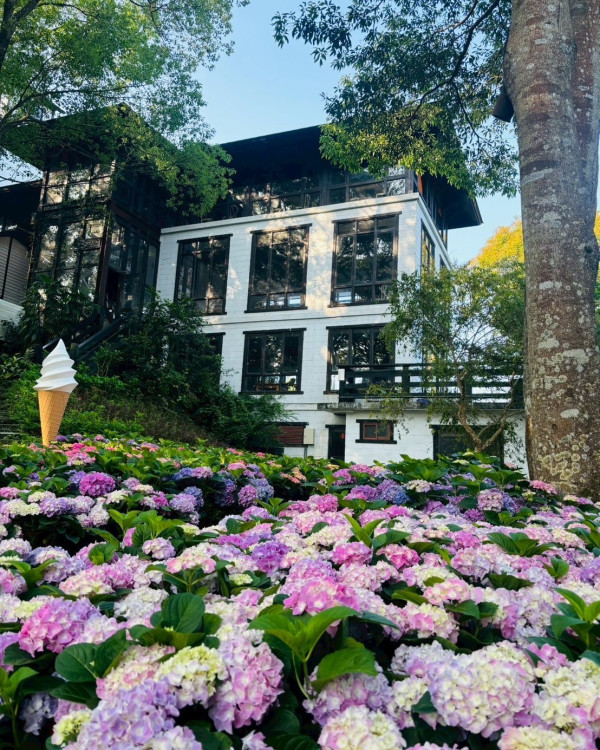 薰衣草森林 新竹尖石園區（圖片來源：Facebook@薰衣草森林）