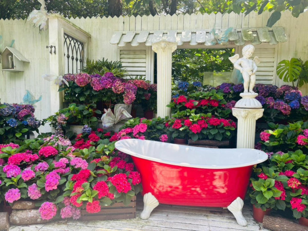 薰衣草森林 新竹尖石園區（圖片來源：Facebook@薰衣草森林）