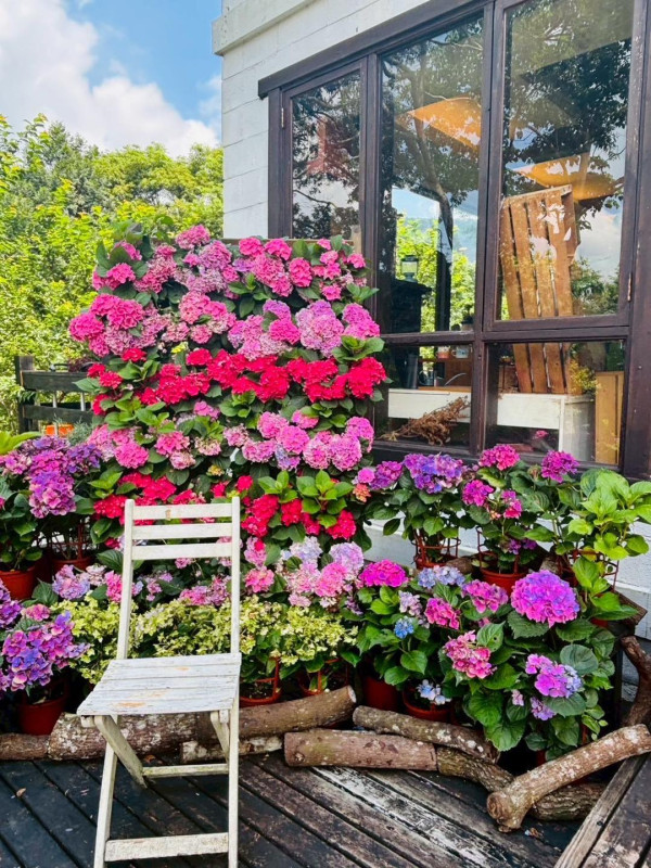 薰衣草森林 新竹尖石園區（圖片來源：Facebook@薰衣草森林）