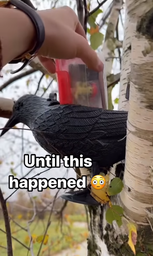 全球寶藏遊戲APP Geocaching爆紅  另類旅行玩法！用GPS尋找隱藏寶藏/香港都有2000個藏寶點 