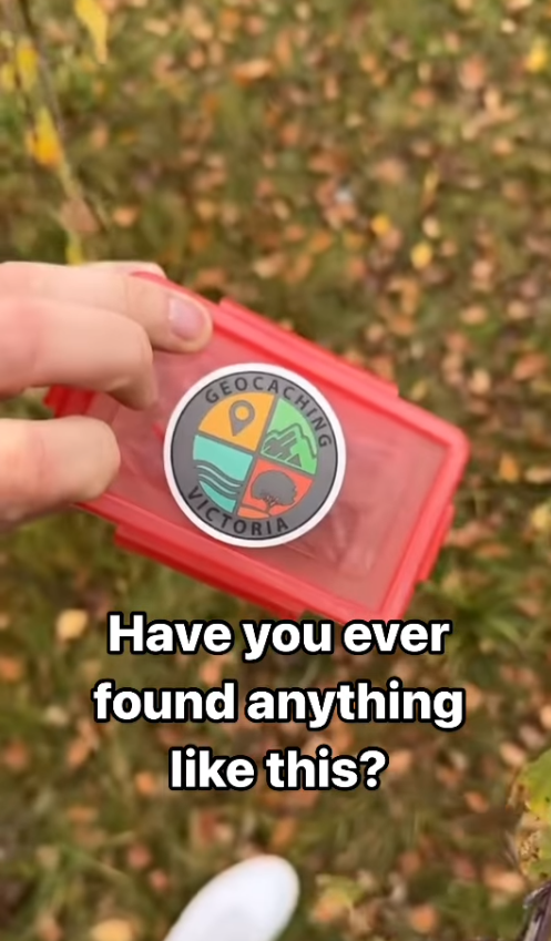 全球寶藏遊戲APP Geocaching爆紅  另類旅行玩法！用GPS尋找隱藏寶藏/香港都有2000個藏寶點 