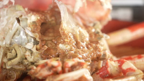 人生美食地圖-東京篇｜陳山聰阮浩棕陳方藤日本旅遊節目每集景點 推介東京必食拉麵/迴轉壽司店/隱世食店 