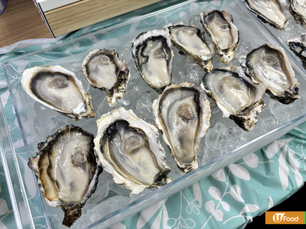 實測超市爆紅急凍袋裝連殼生蠔    平均$9.8隻！重海水味／解凍即食