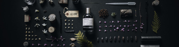 Le Labo 香水推薦|8. Tonka 25 – 溫暖幽暗的迷人擁抱