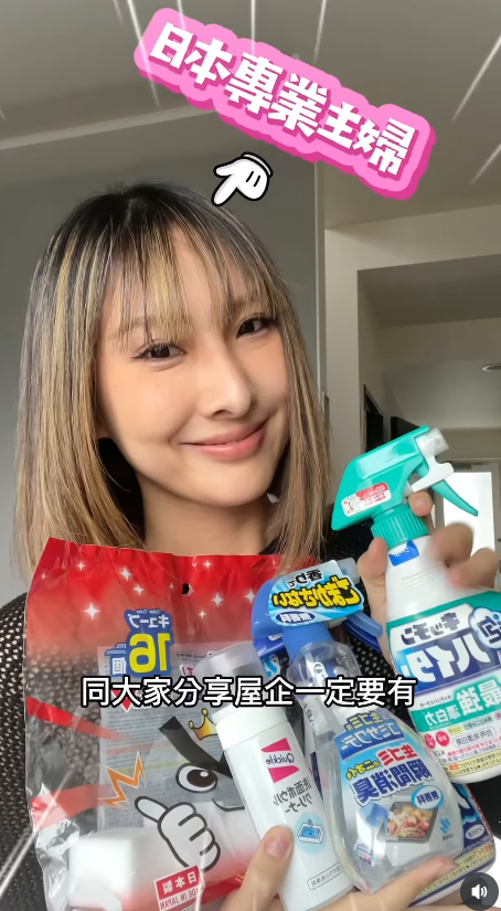 新年大掃除必睇!日本9款懶人清潔劑DAISO都買到!洗手盆清潔棒/立立令地板護理劑