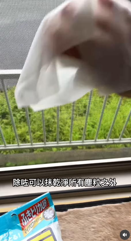 新年大掃除必睇!日本9款懶人清潔劑DAISO都買到!洗手盆清潔棒/立立令地板護理劑